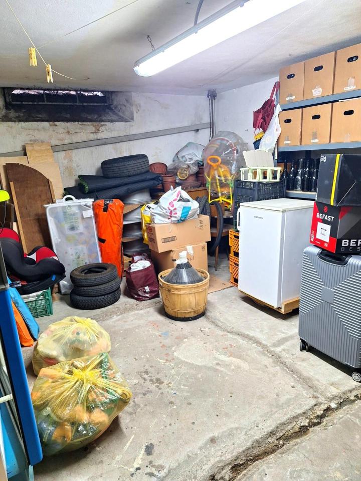 immagine annuncio 11 di 12