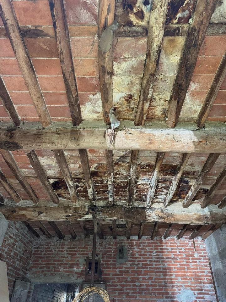 immagine annuncio 3 di 9