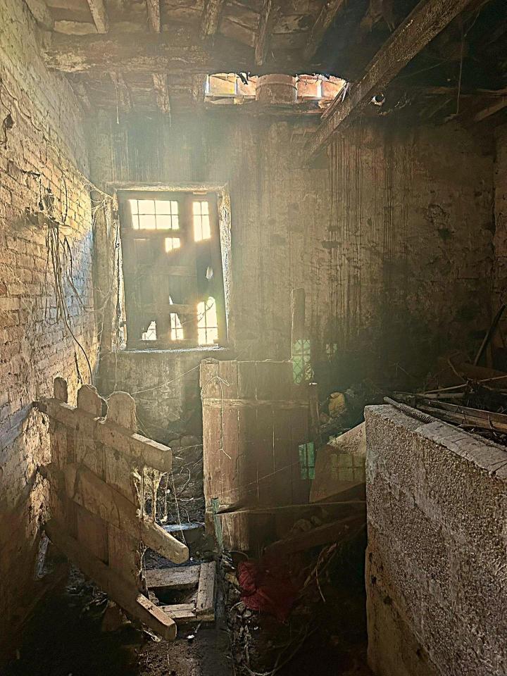 immagine annuncio 5 di 9