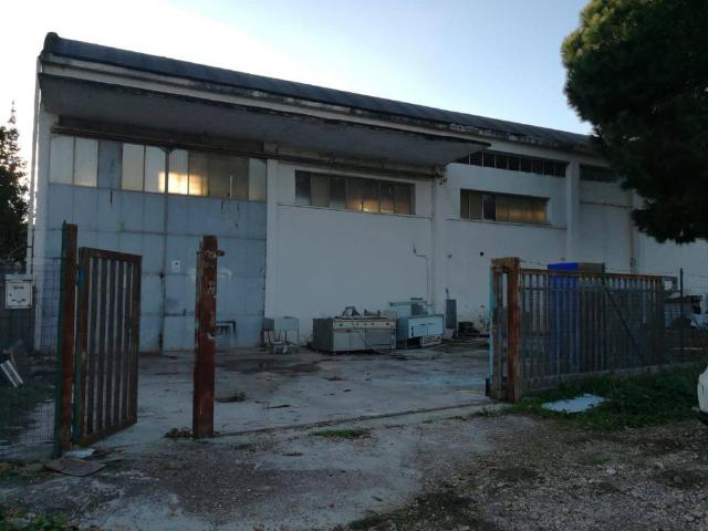 Industrial shed in {3}, Strada Nettunense - Photo 1