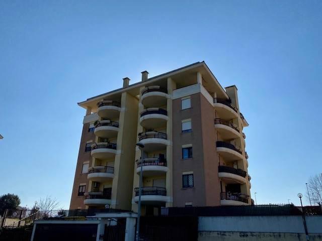 immagine annuncio 1 di 14