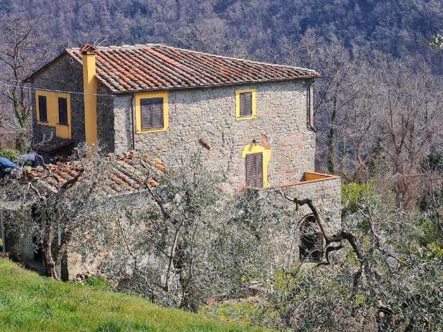 insertion image