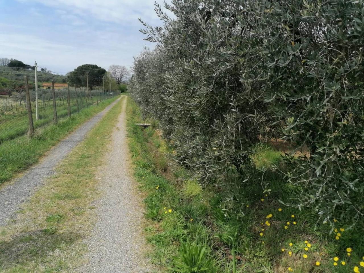 immagine annuncio 5 di 8