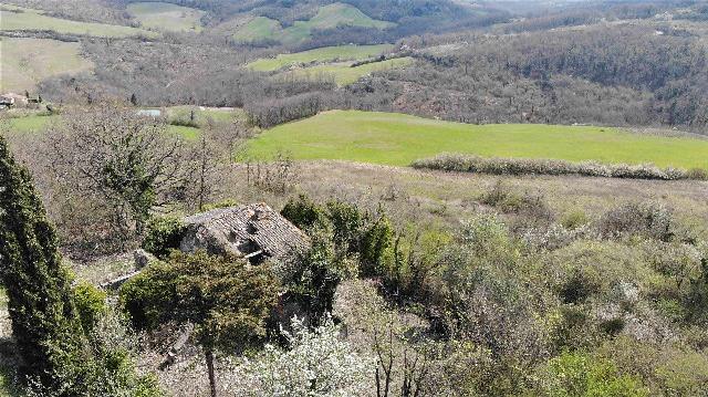 Country house or cottage, Radicofani - Photo 1