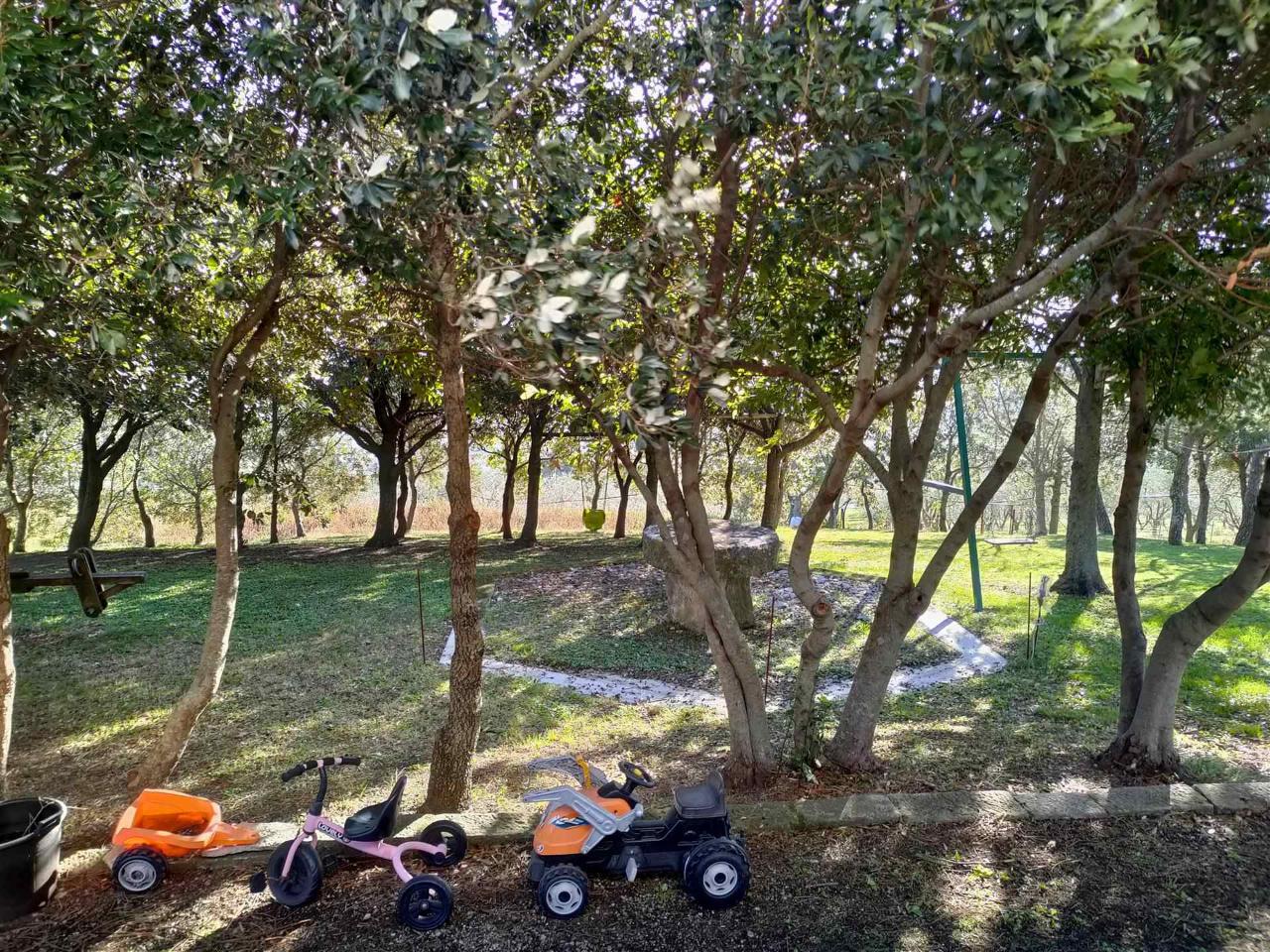 Azienda agricola in Località Podere dei Venti, Piancastagnaio, {3} - Foto 2