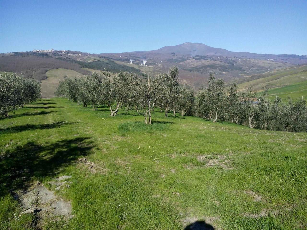 Azienda agricola in , Abbadia San Salvatore, {3} - Foto 2