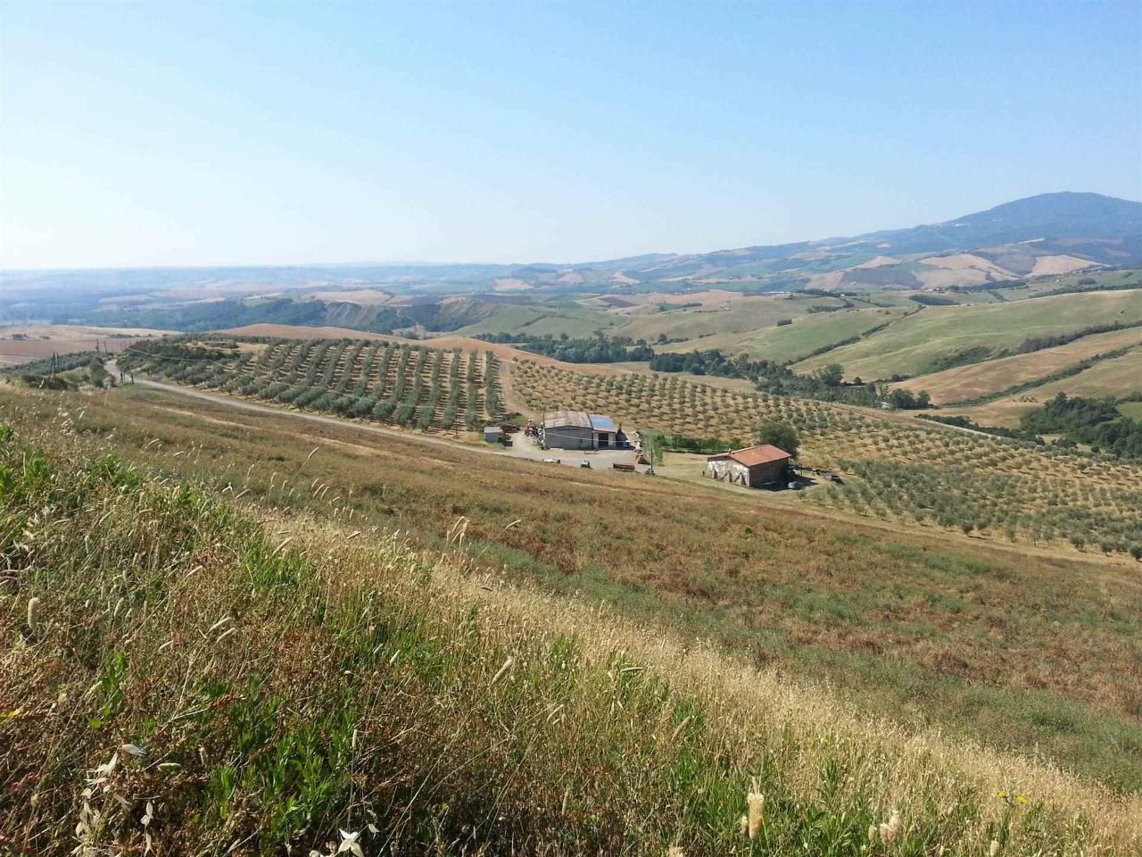 Azienda agricola in , Abbadia San Salvatore, {3} - Foto 1