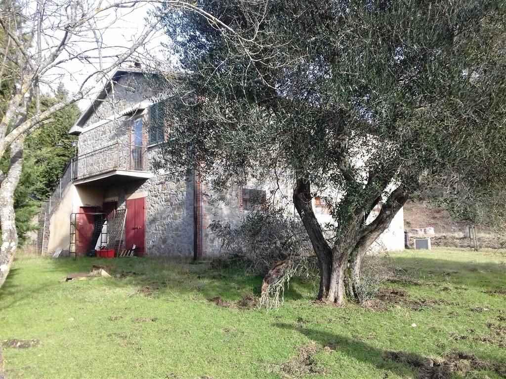 Azienda agricola in , Castiglione D'Orcia, {3} - Foto 1