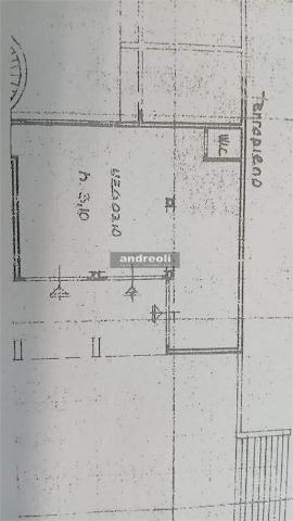 insertion image