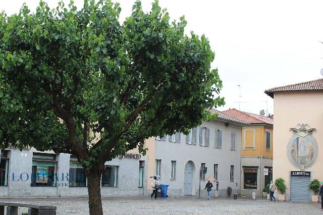 Shop in Via Caio Asinio, Cernusco sul Naviglio - Photo 1