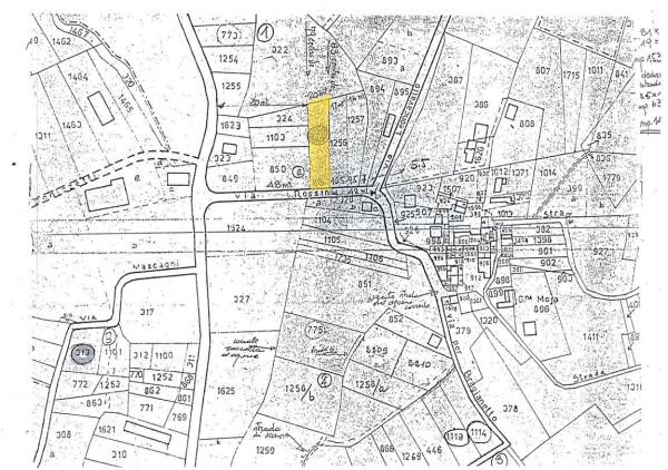 insertion image