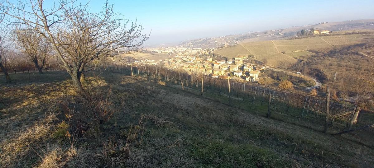 immagine annuncio 2 di 12