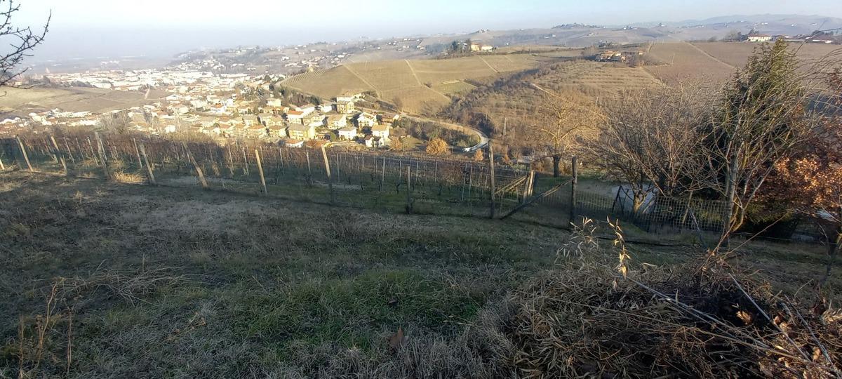 immagine annuncio 9 di 12