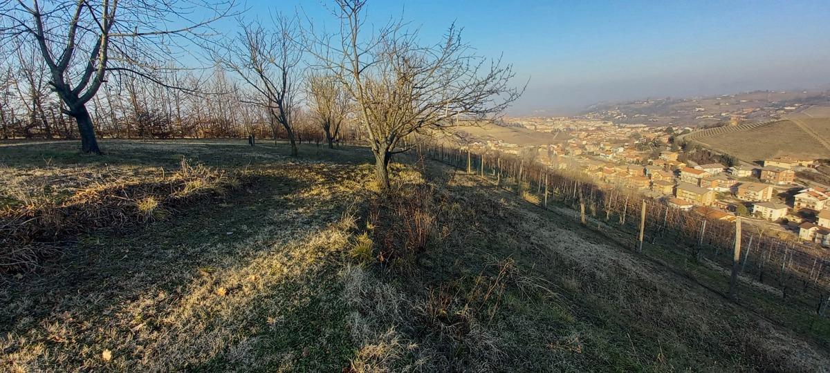immagine annuncio 5 di 12
