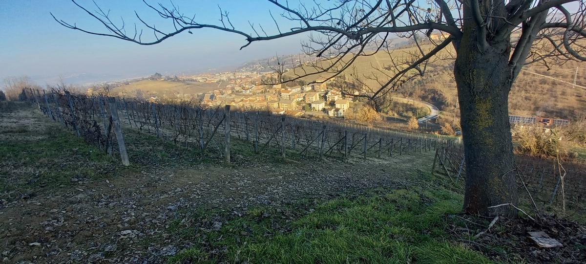immagine annuncio 3 di 12