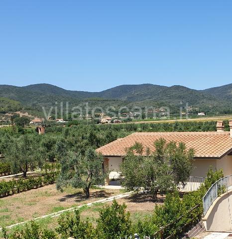 Mansion, Castiglione della Pescaia - Photo 1