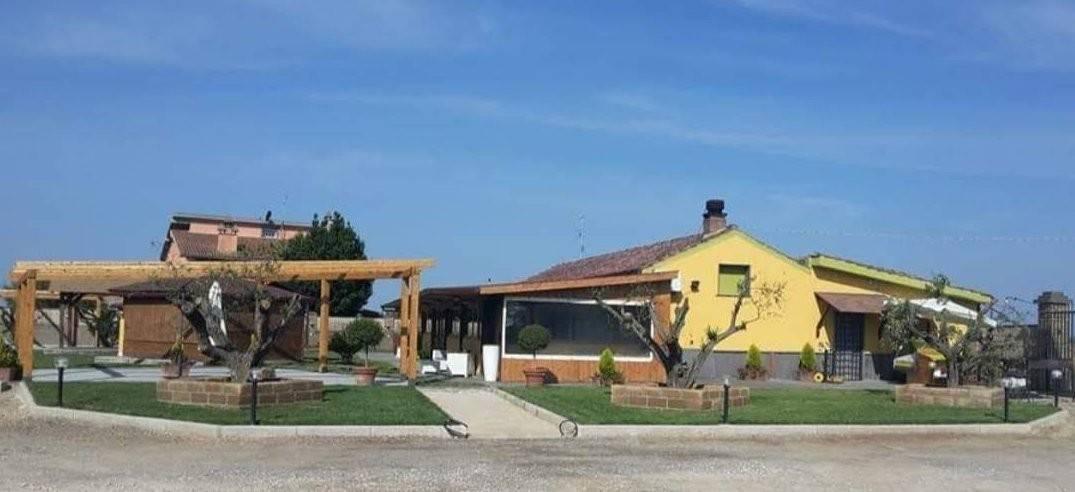 Negozio in Strada Provinciale Tarquiniense, Tuscania, {3} - Foto 1