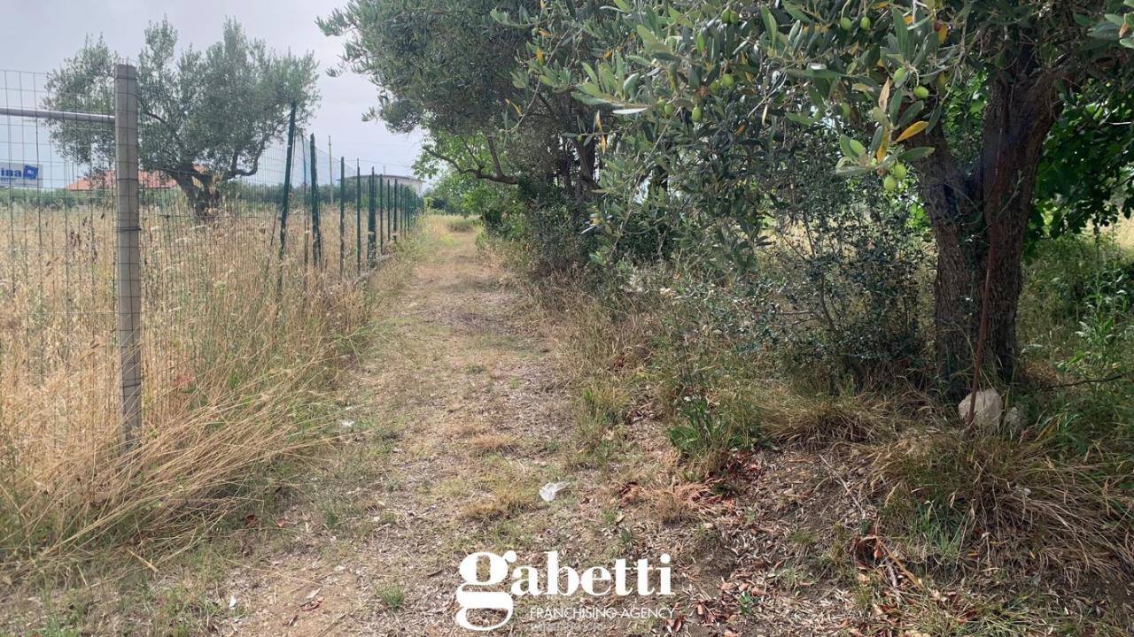 immagine annuncio 8 di 15