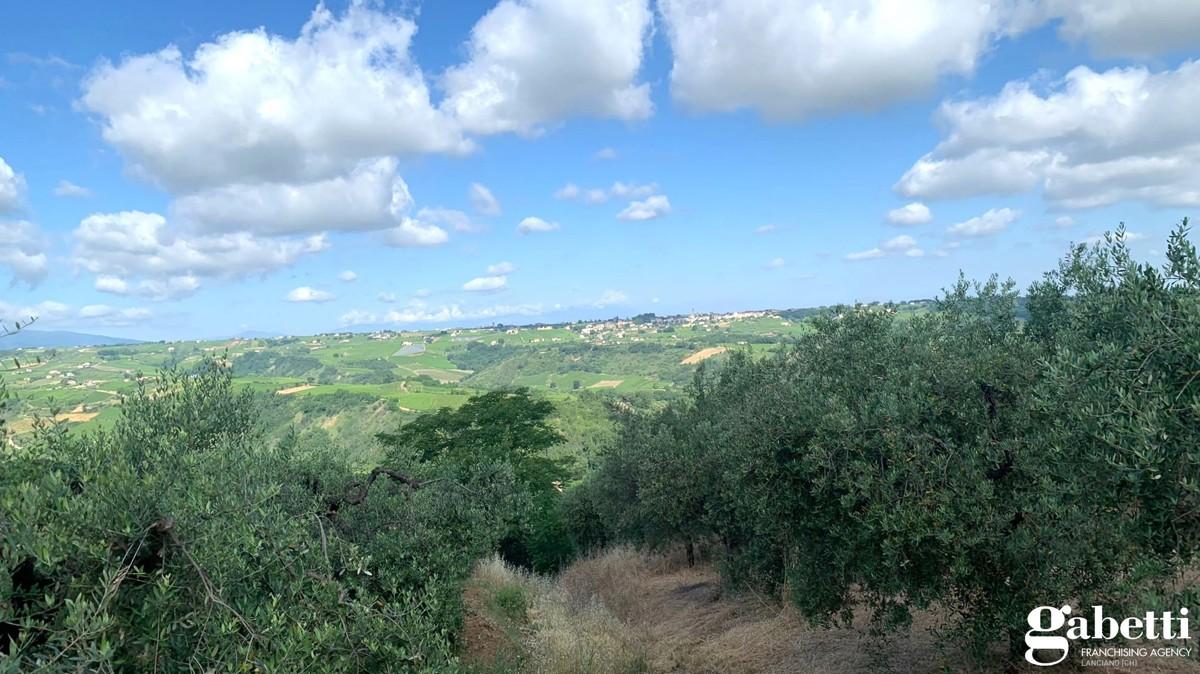immagine annuncio 9 di 14