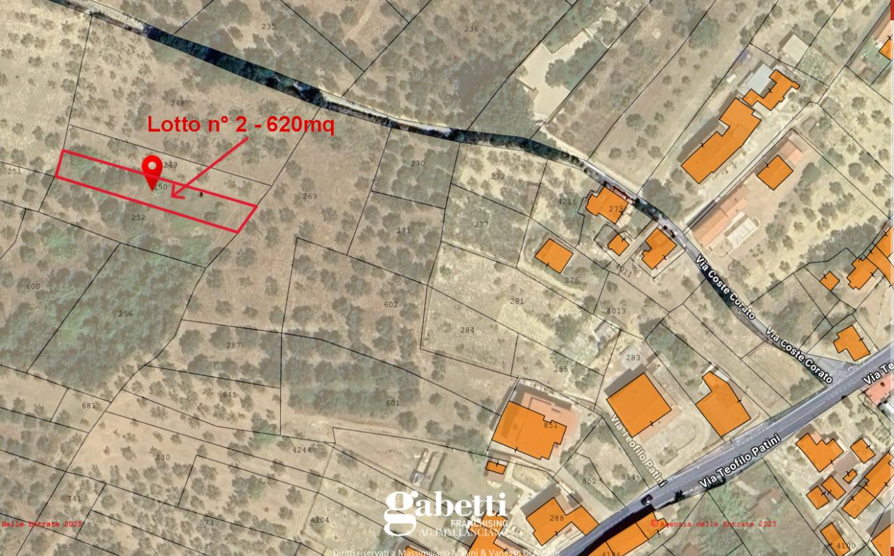 immagine annuncio 1 di 4