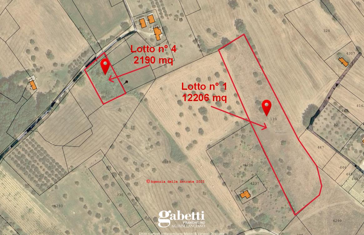 immagine annuncio 3 di 4