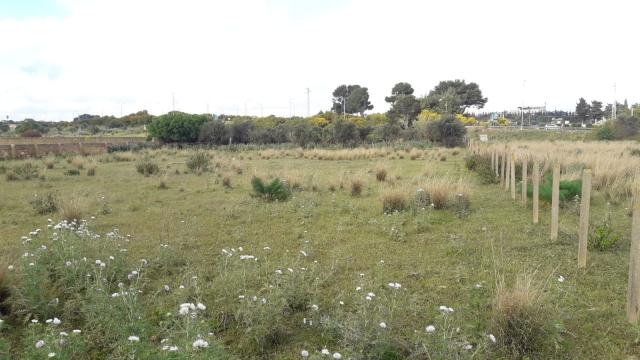 Agricultural land in Via Canada, Mazara del Vallo - Photo 1