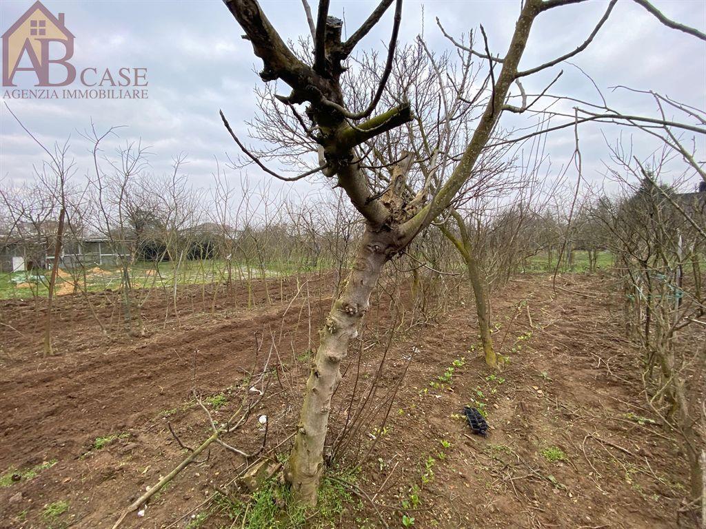 immagine annuncio 7 di 13