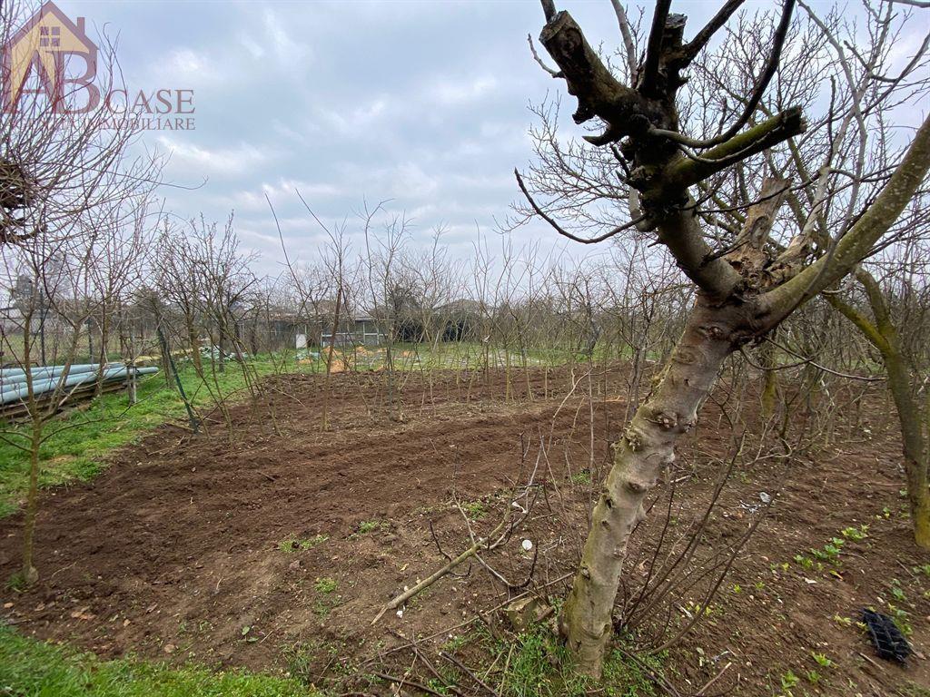 immagine annuncio 6 di 13