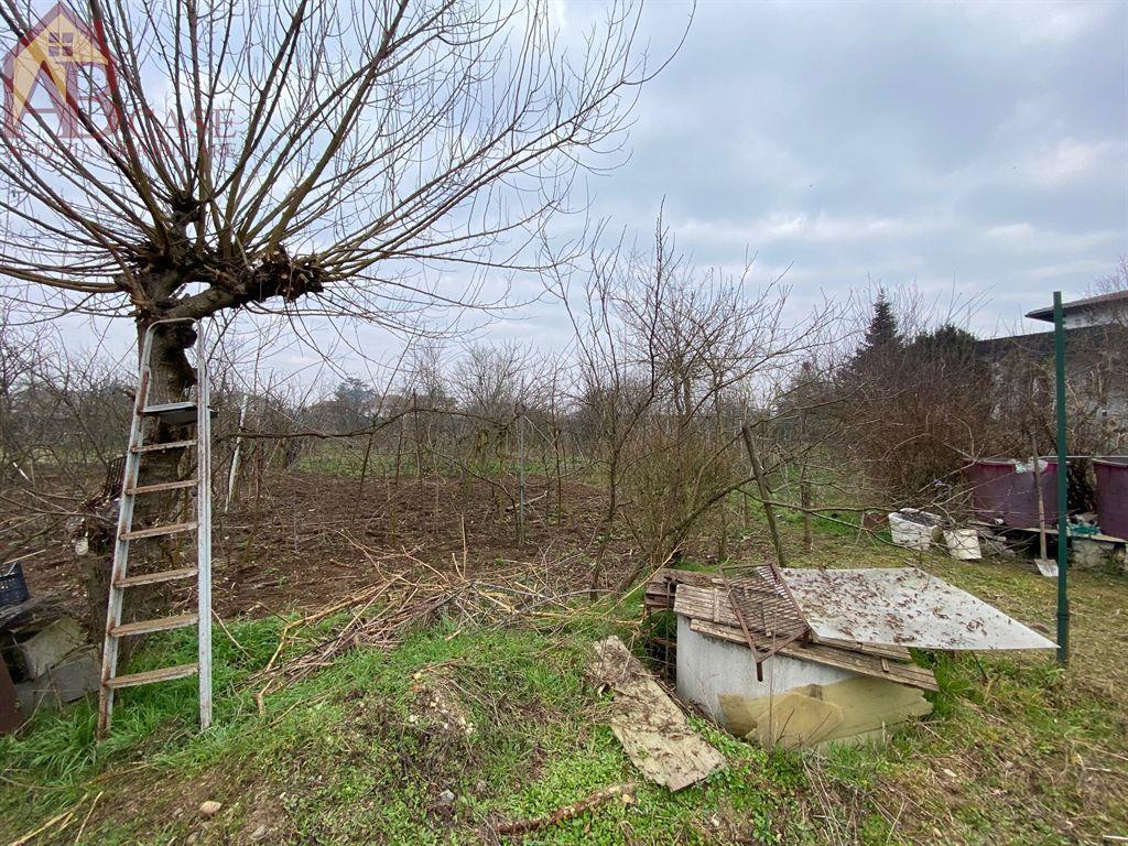 immagine annuncio 12 di 13