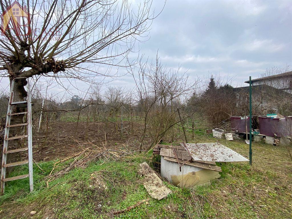 immagine annuncio 11 di 13