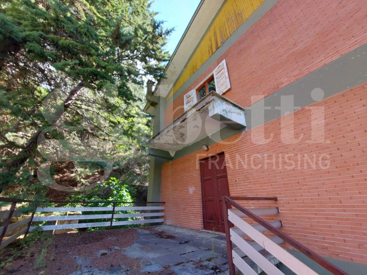 immagine annuncio 3 di 6