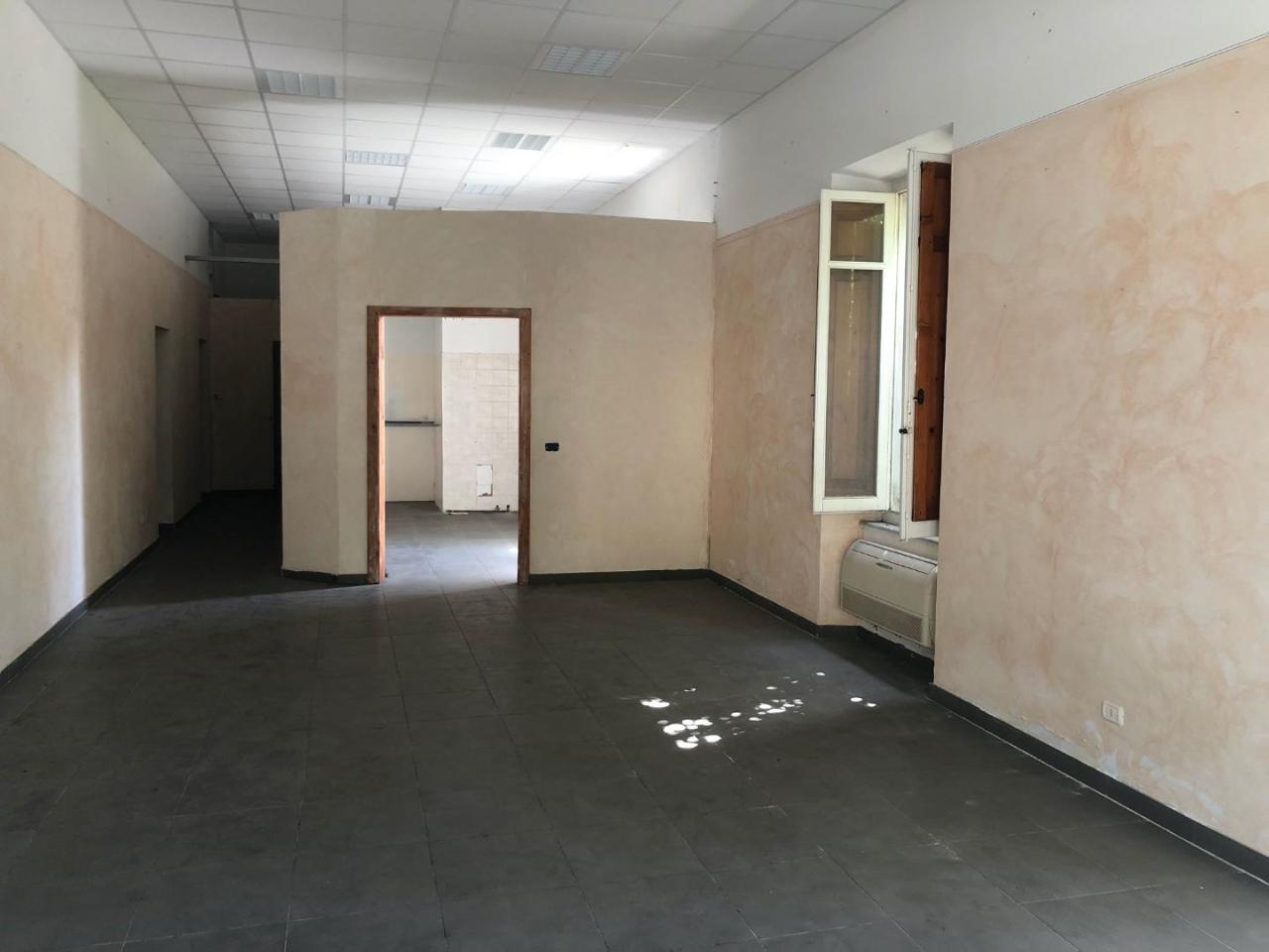 Magazzino in , Massa, {3} - Foto 1