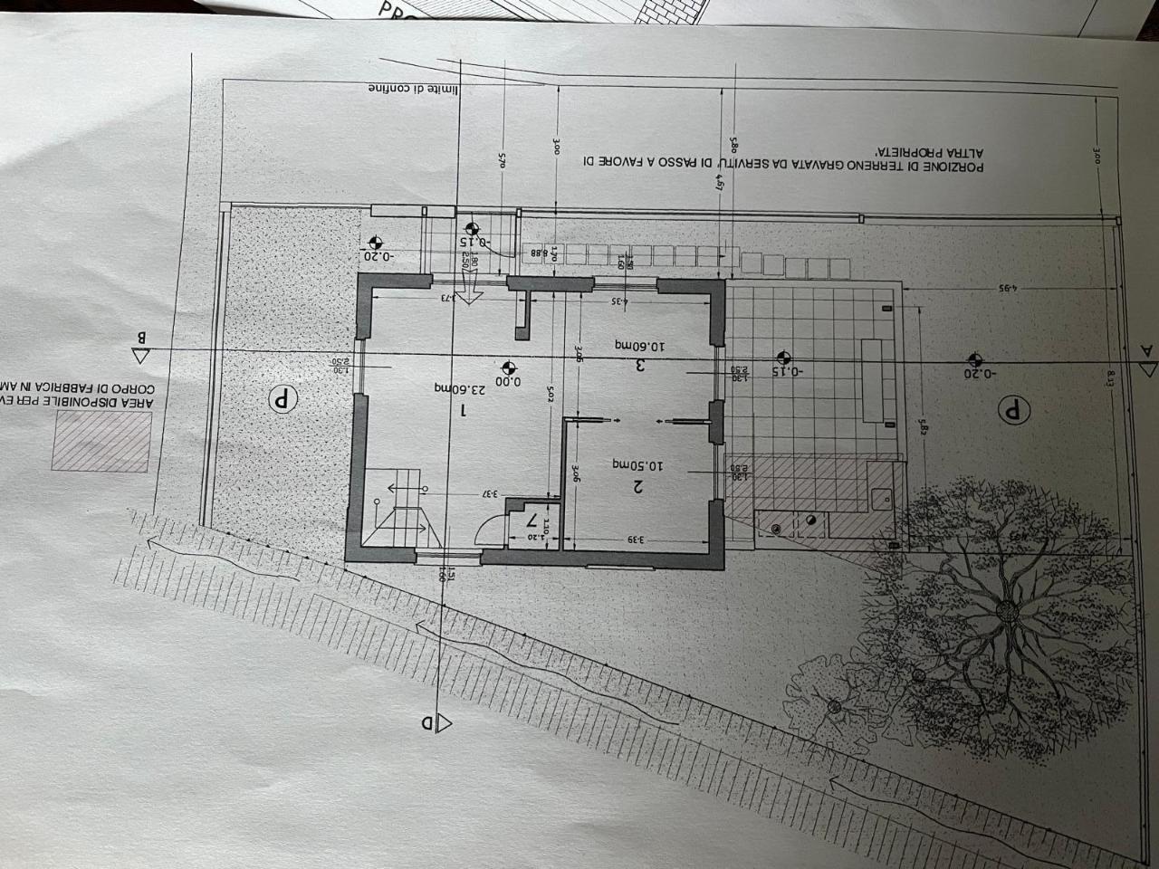 immagine annuncio 6 di 8