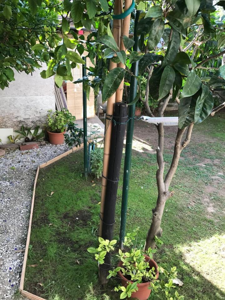 immagine annuncio 4 di 15