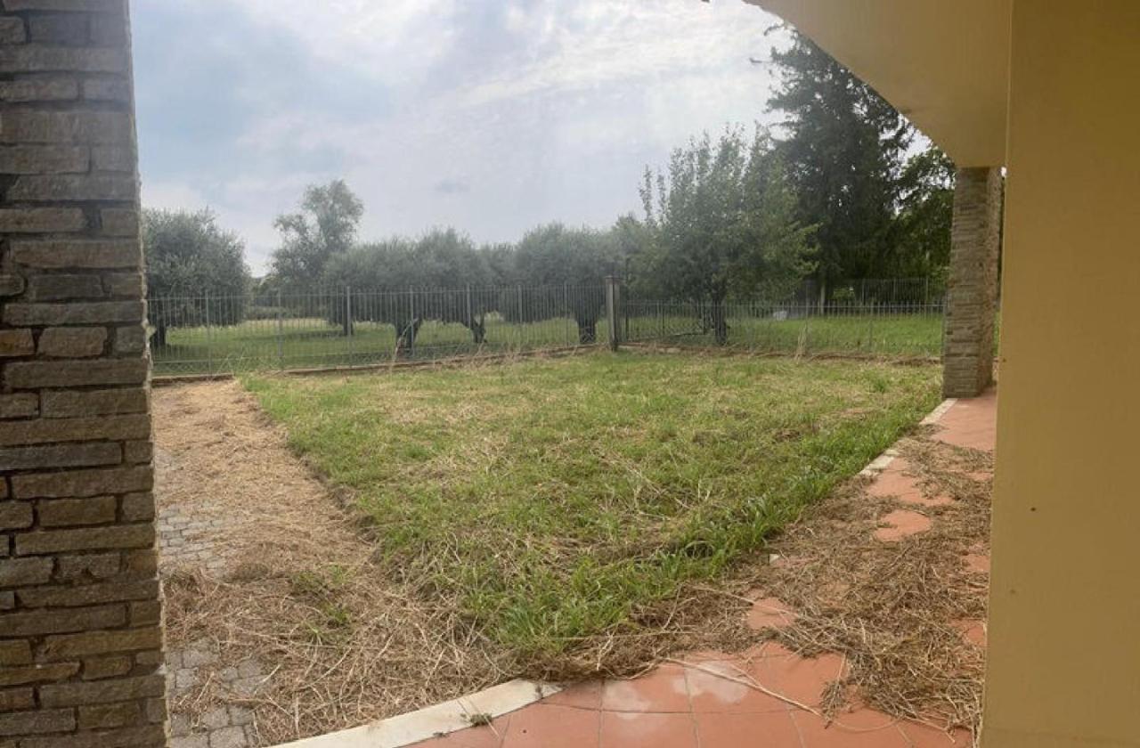 immagine annuncio 11 di 13