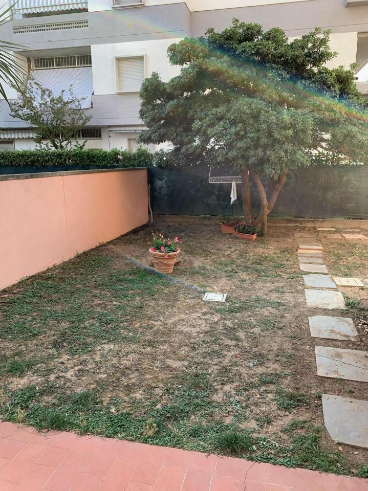 immagine annuncio 1 di 12