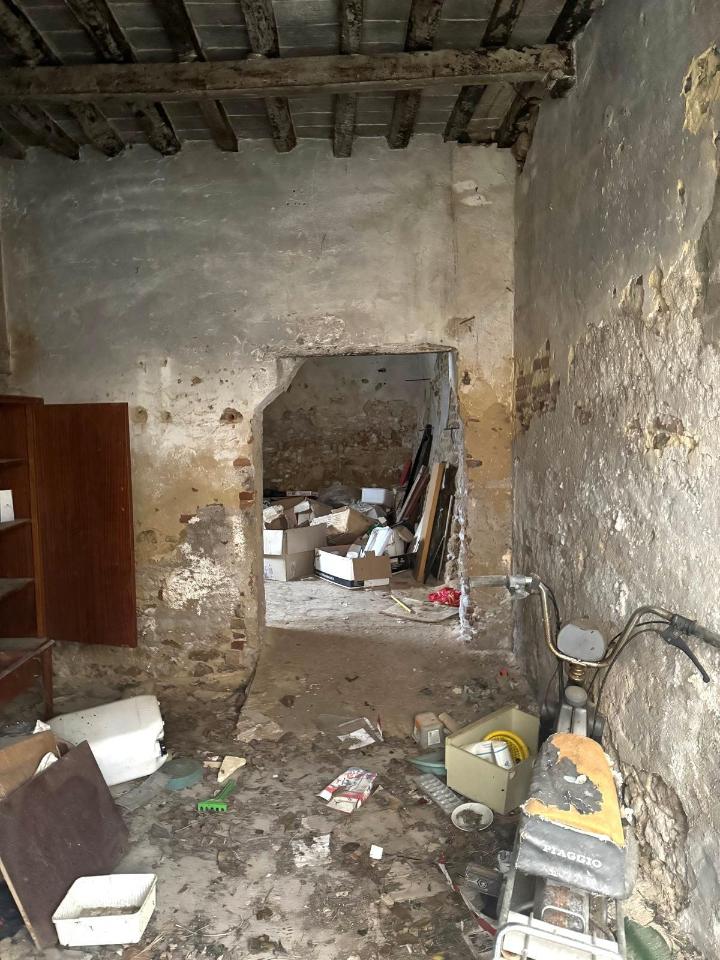 immagine annuncio 11 di 12