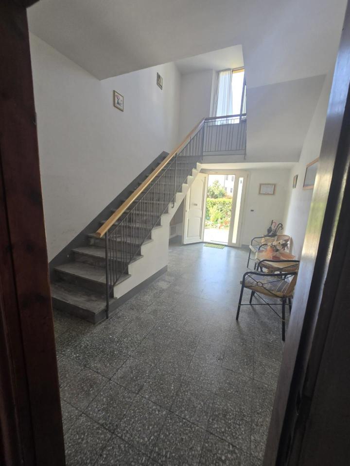 immagine annuncio 5 di 14