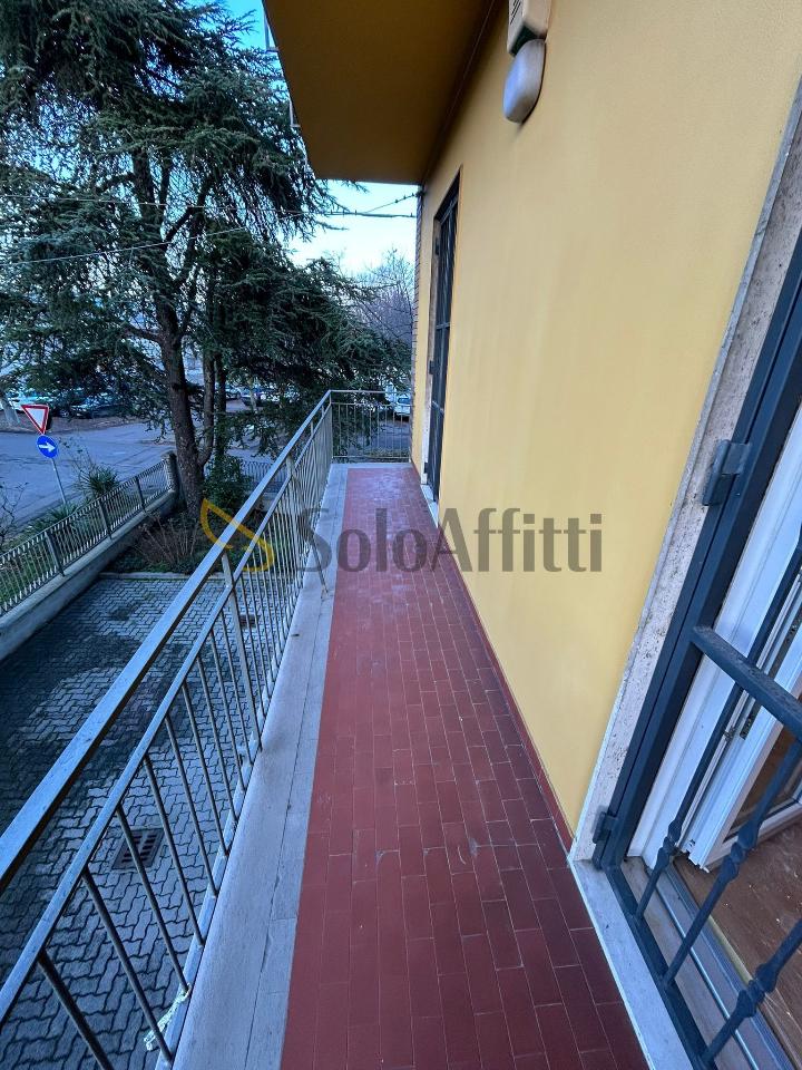 immagine annuncio 6 di 14