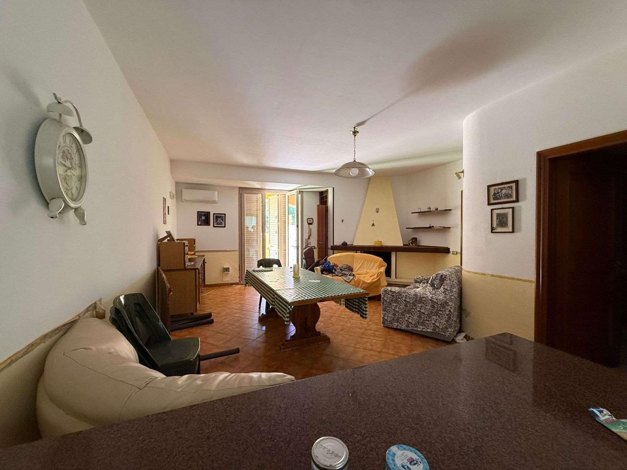 immagine annuncio 6 di 14