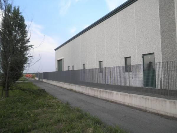 Industrial shed, Modena - Photo 1