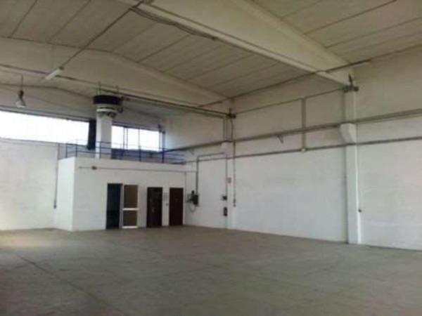 Capannone in , Soliera, {3} - Foto 1