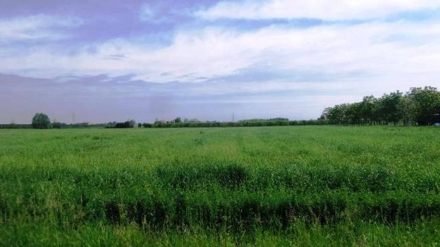 Terreno agricolo in Strada Pomposiana, Modena - Foto 1