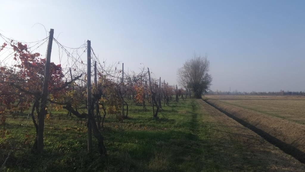 Terreno agricolo in vendita a Modena