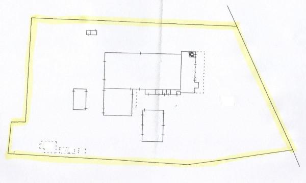 insertion image