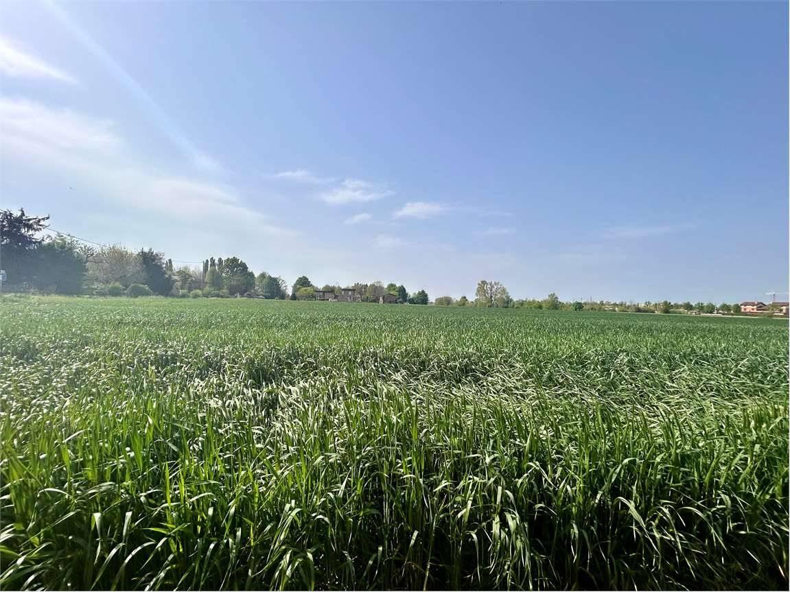 Terreno agricolo in vendita a Novi Di Modena