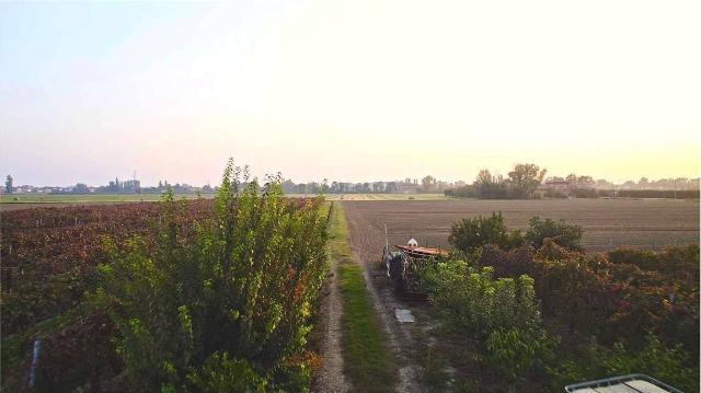 Agricultural land in {3}, Via Tre Ponti, 22 - Photo 1