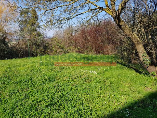 Terraced house in Via del Pino 20b, Collesalvetti - Photo 1