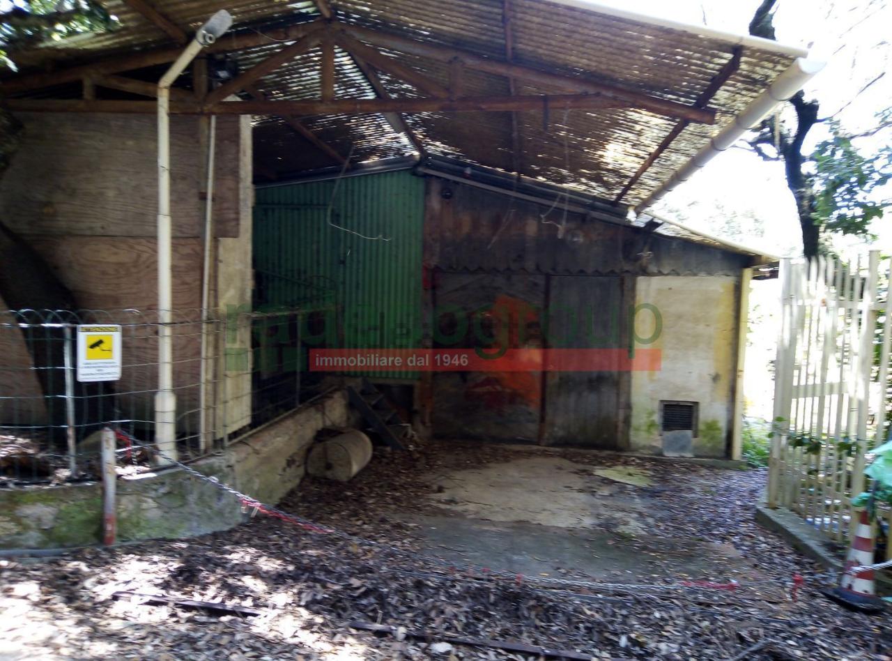 immagine annuncio 10 di 11