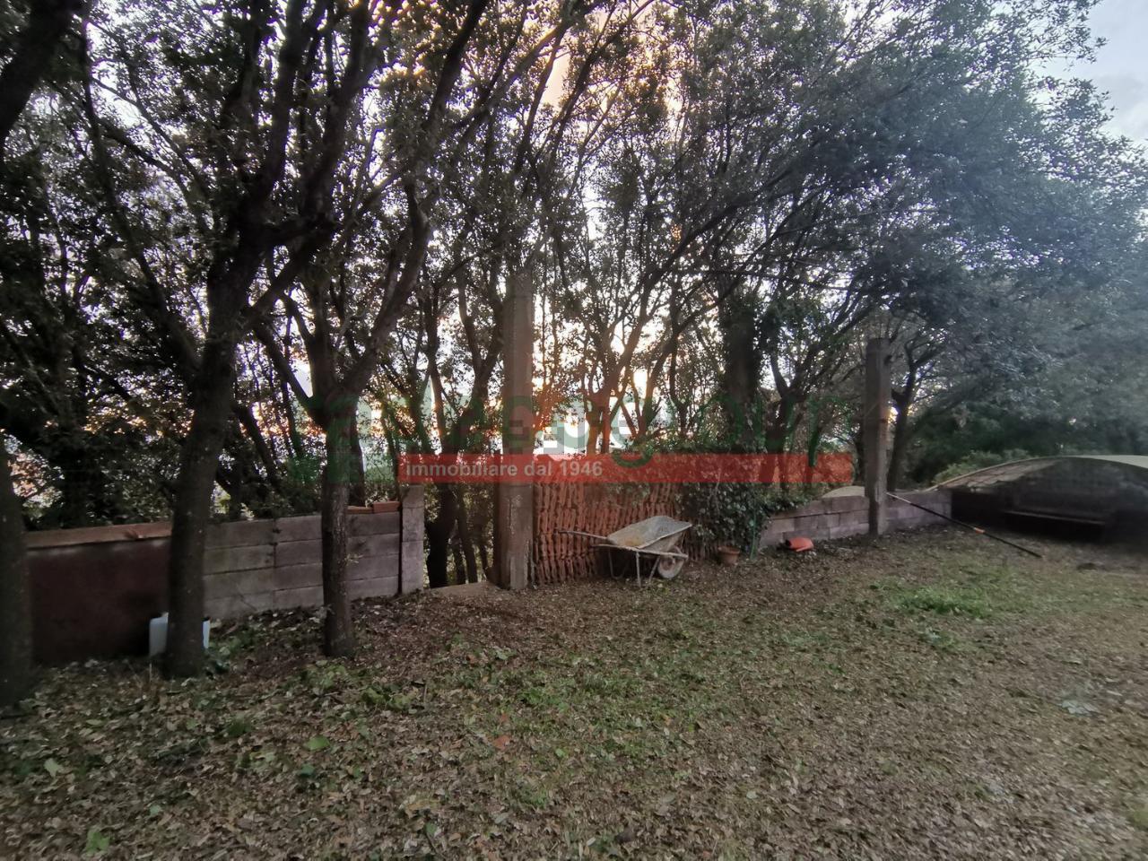 immagine annuncio 8 di 11